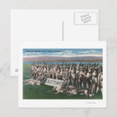 Gillette, WY - Waar de Antelope Roam Briefkaart (Voorkant / Achterkant)