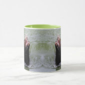 Gimme Fish.. NU Mok (Midden)