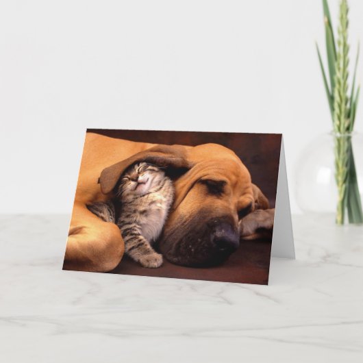 Gimme shelter. kaart (Voorkant)