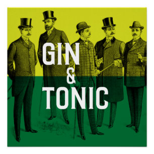 Gin & Tonic Perfect Poster