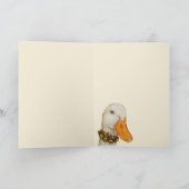 Gina la carte canard (Intérieur)