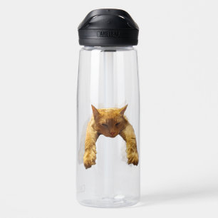Gingembre Lazy Chat, Bouteille d'eau
