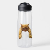 Gingembre Lazy Chat, Bouteille d'eau (Avant)