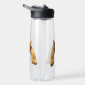 Gingembre Lazy Chat, Bouteille d'eau (Droite)