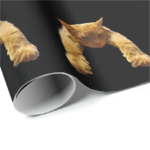 Gingembre Lazy Chat, Papier Cadeau (Coin rond)