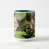 Ginger Australian Hopping Mouse, Mok (Midden)