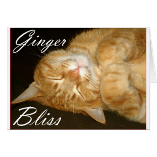 Ginger Bliss