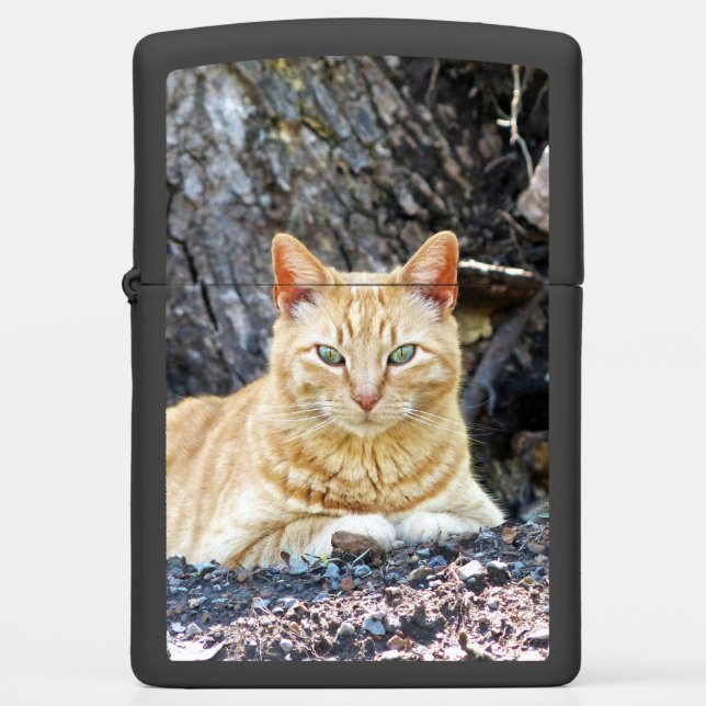 Ginger Boy (Voorkant)