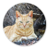 Ginger Boy Keramische Knop (Voorkant)