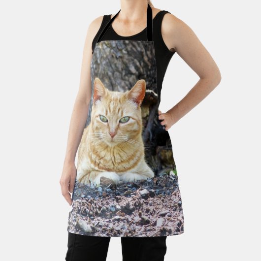 Ginger Boy Schort (Insitu)