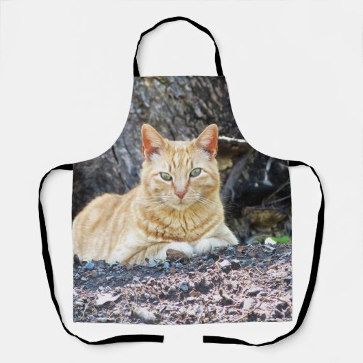 Ginger Boy Schort (Voorkant)