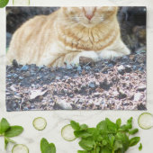 Ginger Boy Theedoek (Gevouwen)