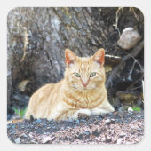 Ginger Boy Vierkante Sticker (Voorkant)