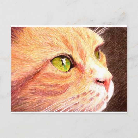 Ginger Cat Briefkaart (Voorkant)