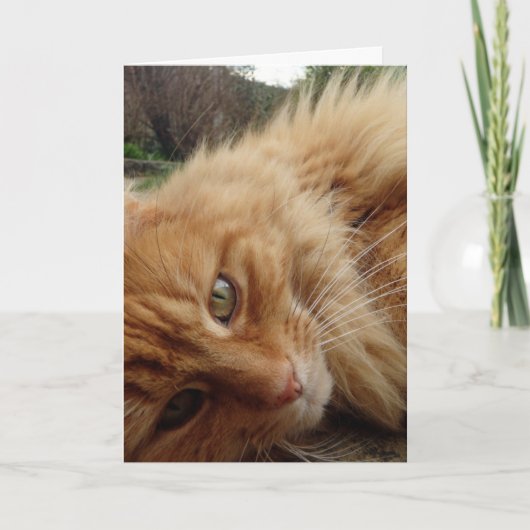 Ginger cat face kaart (Voorkant)