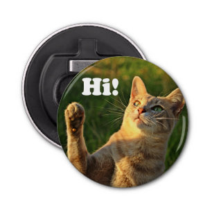 Ginger Cat Gezegde Hoi! Button Flesopener