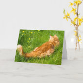 Ginger Cat in het voorjaar Kaart (Gele Bloem)