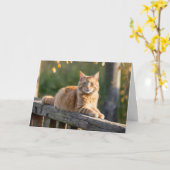 Ginger Cat op een rustiek hek Kaart (Gele Bloem)