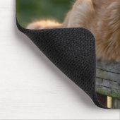 Ginger Cat op een rustiek hek Muismat (Hoek)