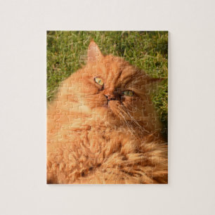 GINGER CAT PERSIAN JIGSAW Puzzle Legpuzzel