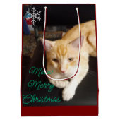 Ginger Cat Photo Text Customize Medium Cadeauzakje (Achterkant)