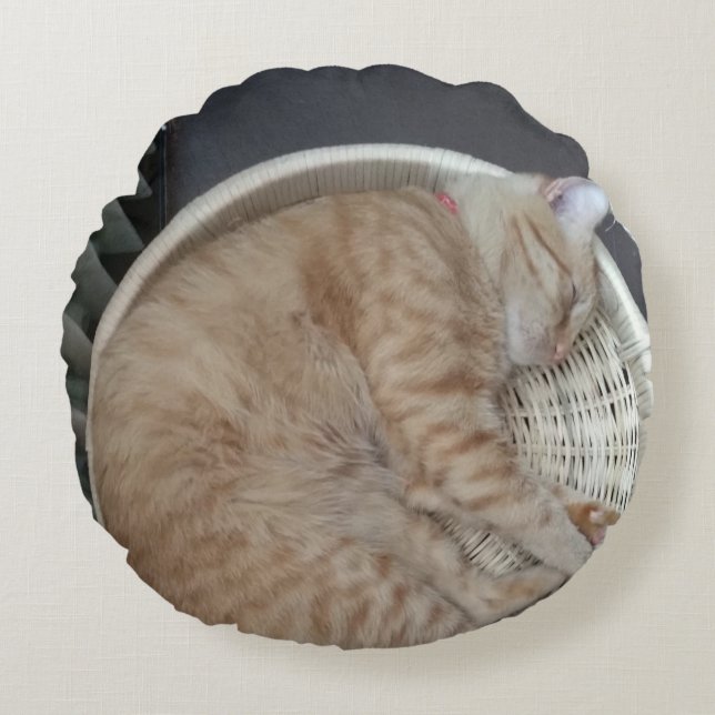 Ginger Cat Round Pillow Rond Kussen (Voorkant)