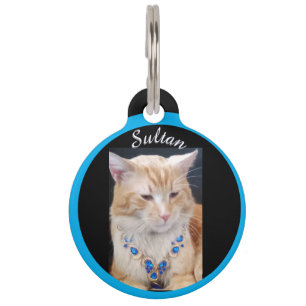 Ginger Cat ,Sieraden, Naam en Foto aanpassen, Huisdierpenning