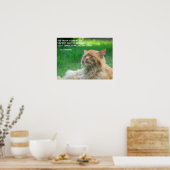 Ginger Cat St. Augustine Truth Quote Poster (Keuken)