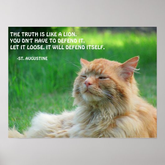 Ginger Cat St. Augustine Truth Quote Poster (Voorkant)