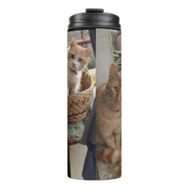 Ginger Cat thermische tumbler Thermosbeker