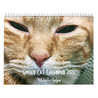 Ginger Cat Wall Agenda 2022 Kalender
