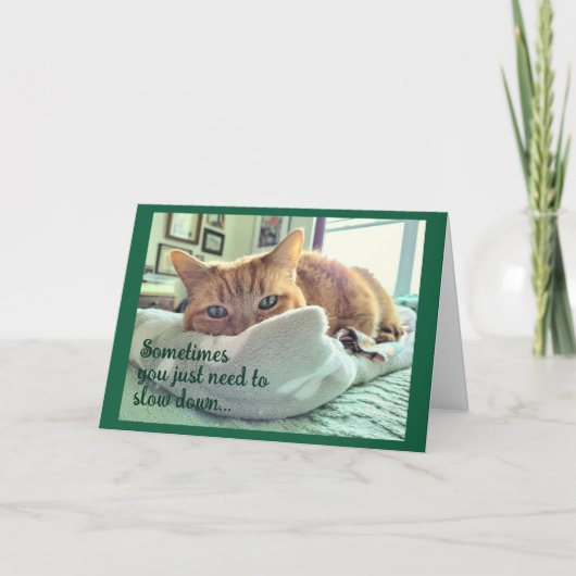 Ginger Cat zegt dat hij zich beter kan voelen Aankondiging (Voorkant)