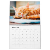 Ginger Cats - Calendrier des murs photo (Mar 2026)