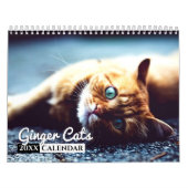 Ginger Cats - Calendrier des murs photo (Protection)