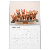 Ginger Cats - Calendrier des murs photo (Jan 2026)