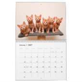 Ginger Cats - Calendrier des murs photo (Jan 2027)