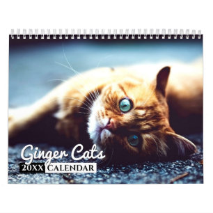 Ginger Cats Photo Wall Agenda Kalender