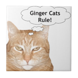Ginger Cats-regel Tegeltje