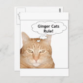 Ginger Cats Rule! Briefkaart (Voorkant / Achterkant)
