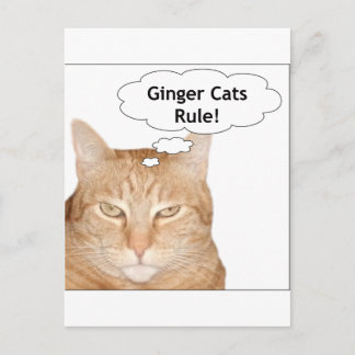Ginger Cats Rule! Briefkaart
