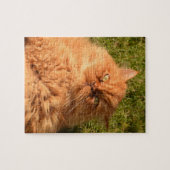 GINGER CHAT PERSIAN JIGSAW Puzzle (Horizontal)