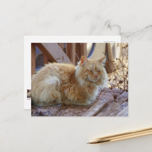 Ginger George Briefkaart (Voorkant / Achterkant in situ)