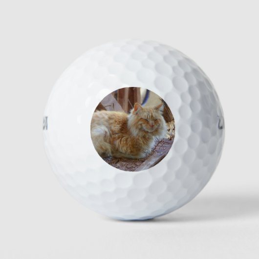 Ginger George Golfballen (Voorkant)