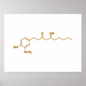 Ginger Gingerol Molecule Chemical Formule Poster (Voorkant)