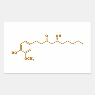Ginger Gingerol Molecule Chemical Formule Rechthoekige Sticker