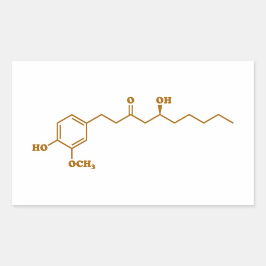 Ginger Gingerol Molecule Chemical Formule Rechthoekige Sticker (Voorkant)