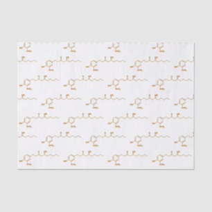 Ginger Gingerol Molecule Chemical Formule Tissuepapier