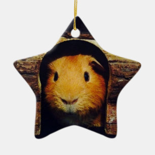 Ginger Guinea Pig Gifts Keramisch Ornament
