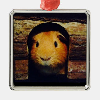 Ginger Guinea Pig Gifts Metalen Ornament