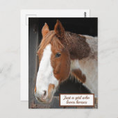 Ginger Horse op Boerderij Gewoon een meisje dat va Briefkaart (Voorkant / Achterkant)